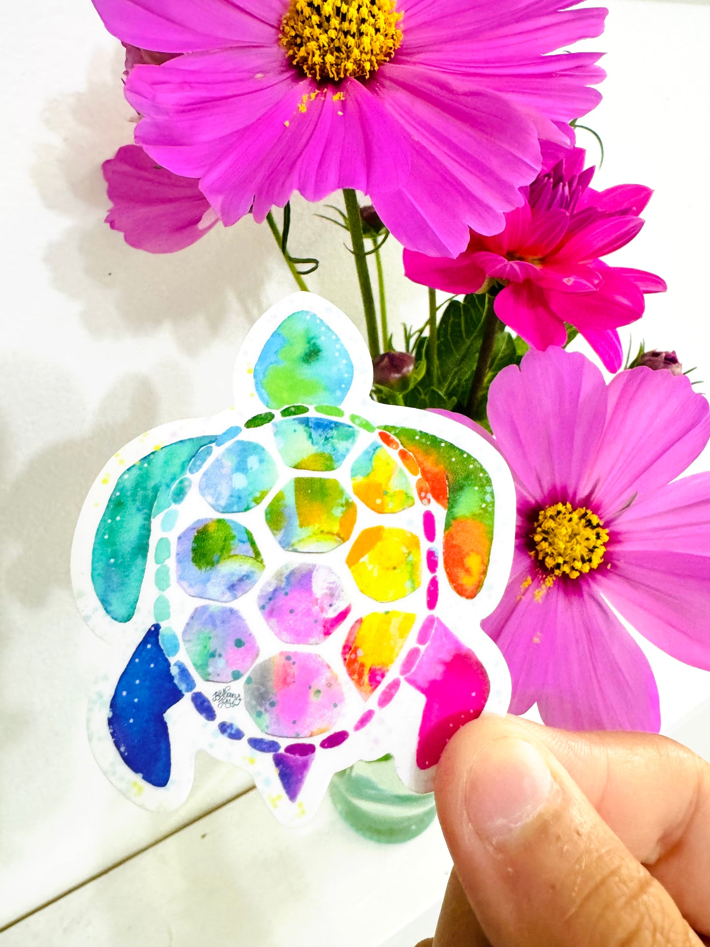 Sea Turtle Vinyl August 2024 Sticker of the Month