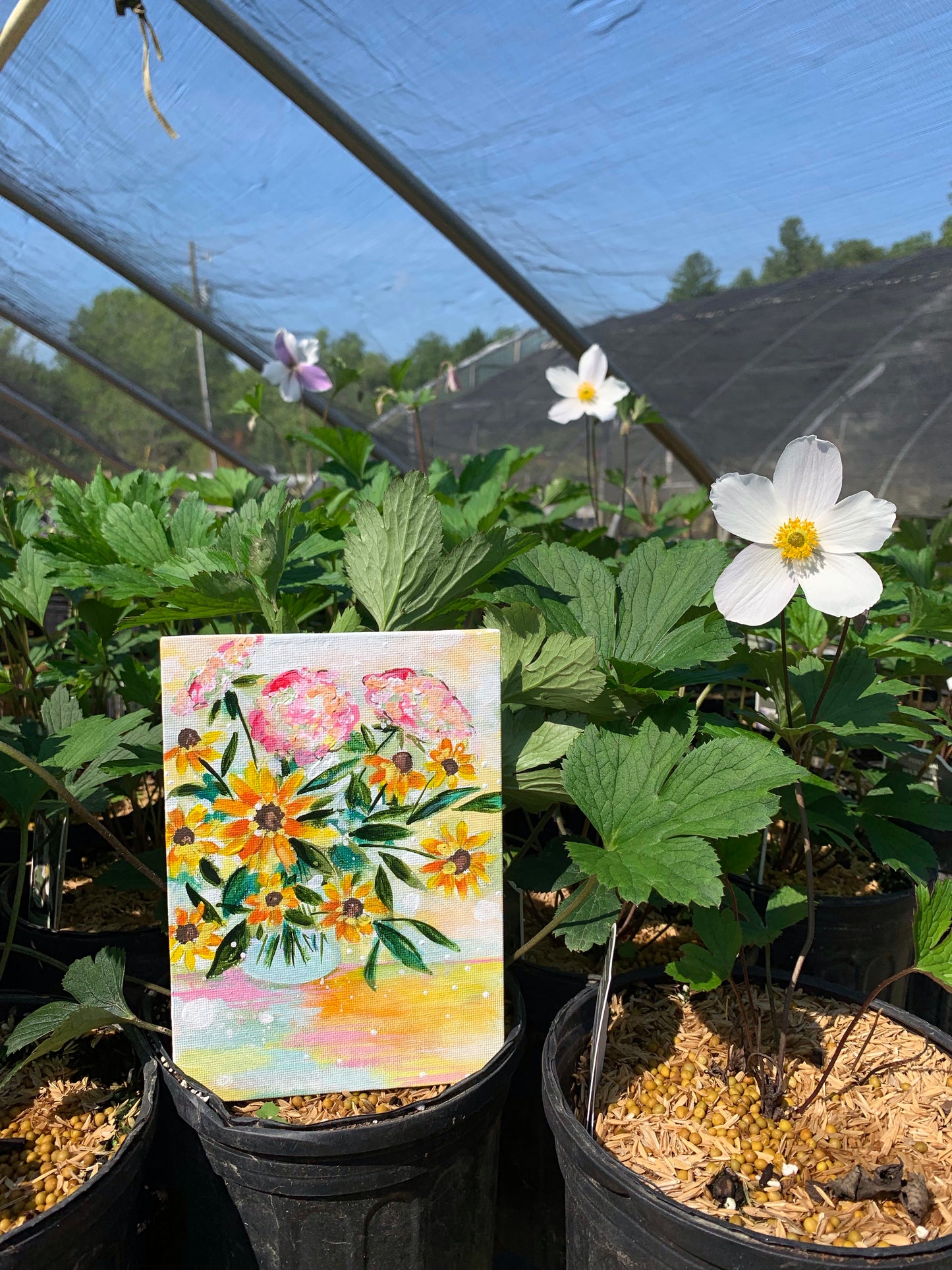 August Daily Painting Day 10 “Be The Sunshine" 5x7 inch Floral Original - Bethany Joy Art