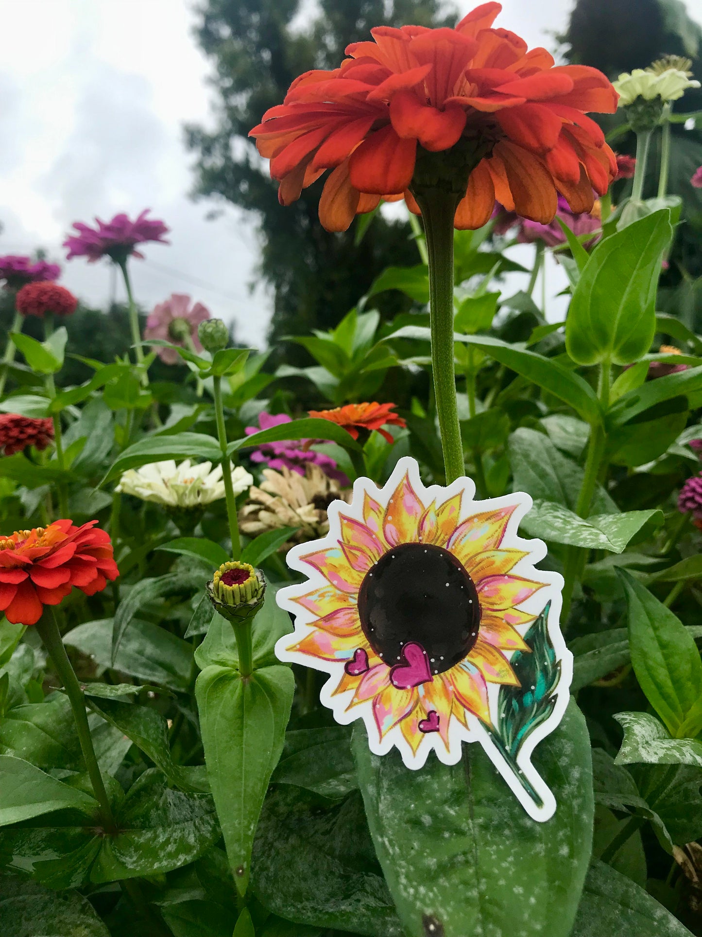 Sunflower Love Vinyl Sticker - Bethany Joy Art