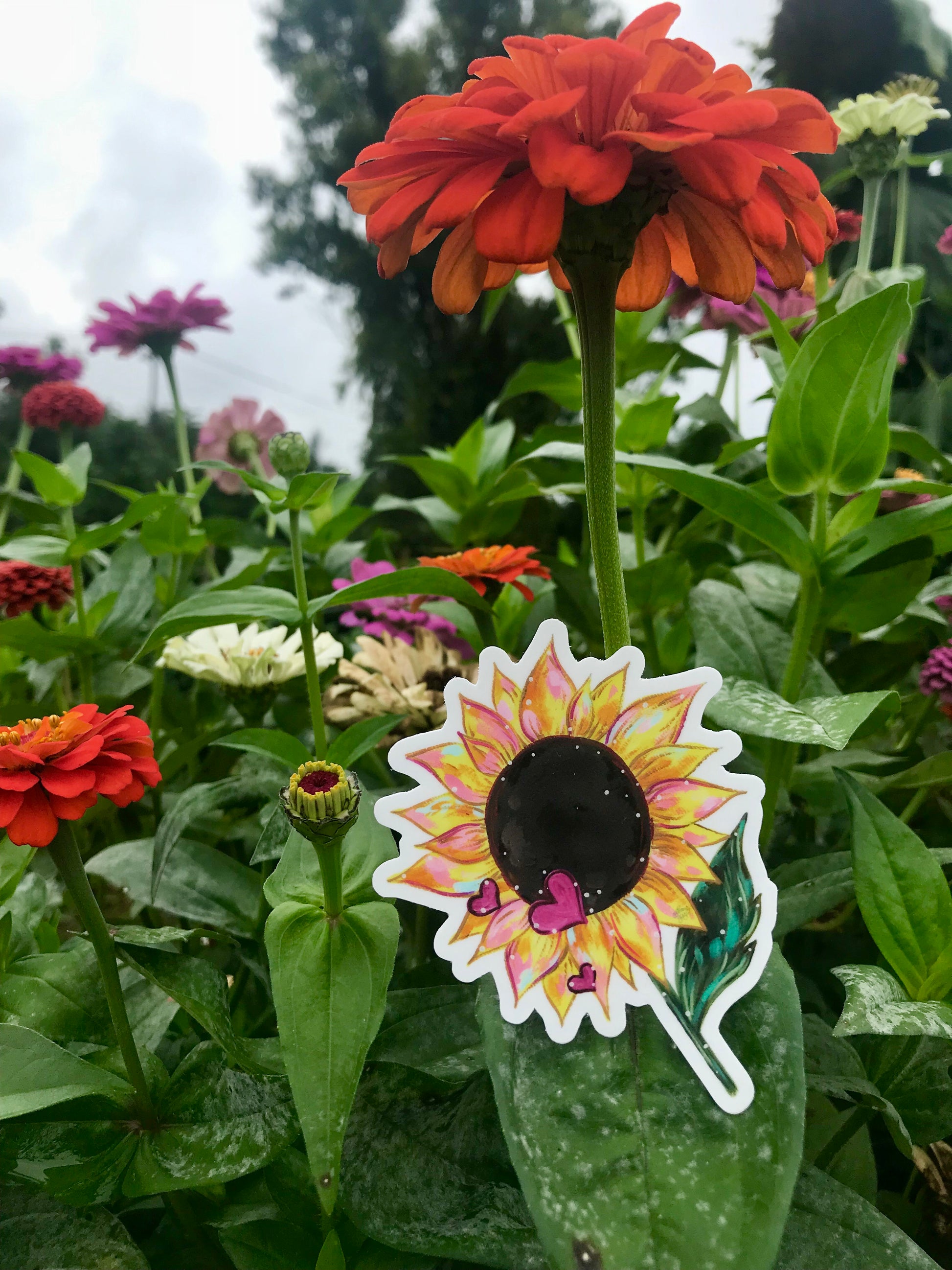 Sunflower Love Vinyl Sticker - Bethany Joy Art