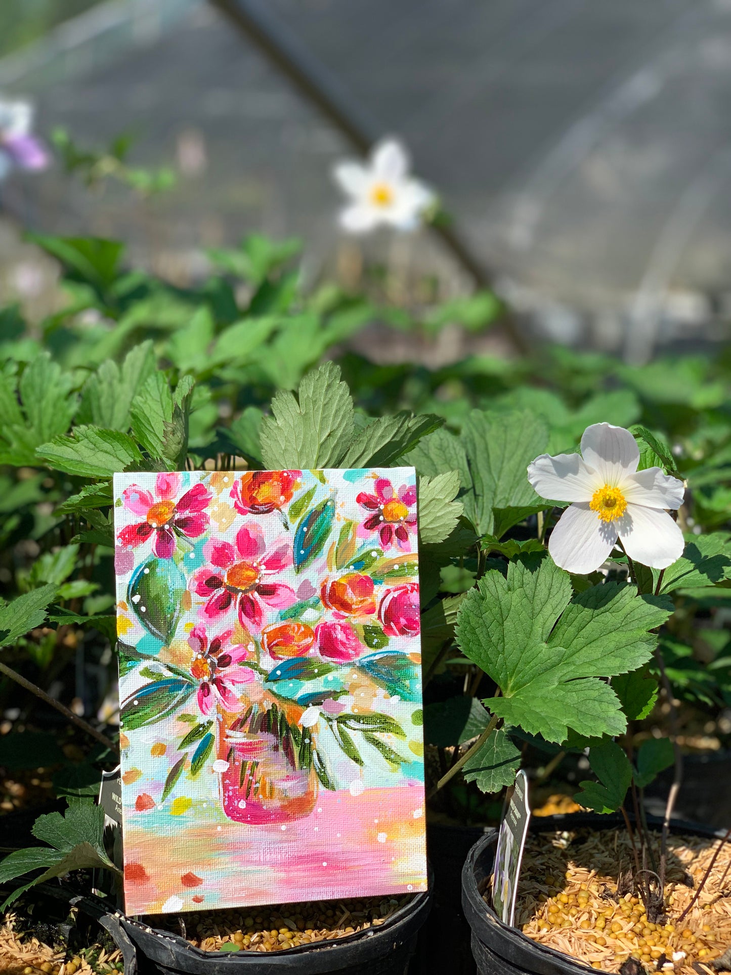 August Daily Painting Day 7 “Raspberry Picking” 5x7 inch Floral Original - Bethany Joy Art