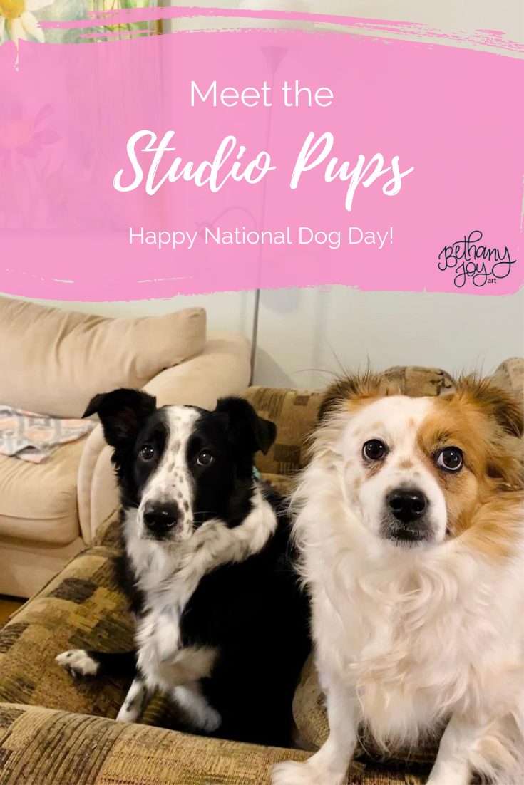 Meet the Studio Pups!